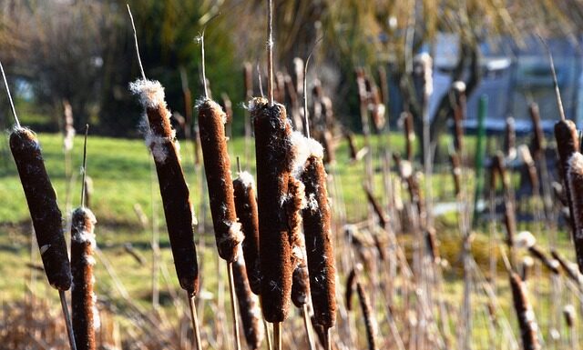 Jak jest po niemiecku agrafka?