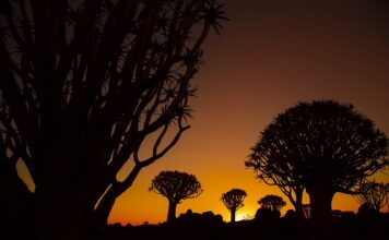 Ile strzał w kołczanie?