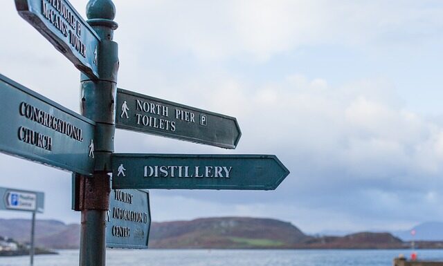 Jak rozpoznać kierunki w lesie? Jak rozpoznać kierunki w lesie?