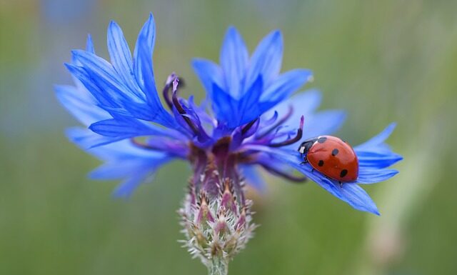 Ile jest punktów za dwutakt? Ile jest punktów za dwutakt?
