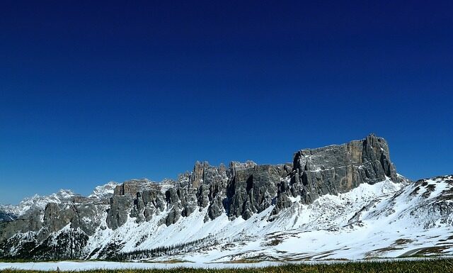 Jaki nawóz pod kukurydzę i ile?
