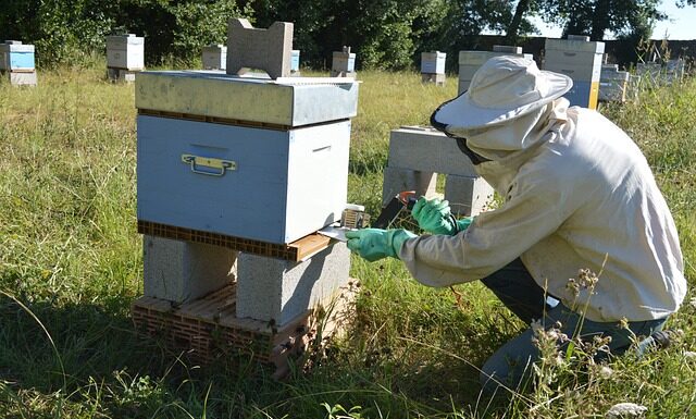 Na czym polega zjawisko sublimacji?