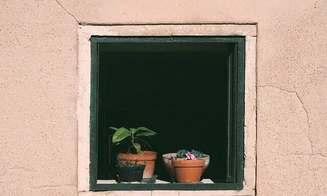 Kiedy podlewać boisko?