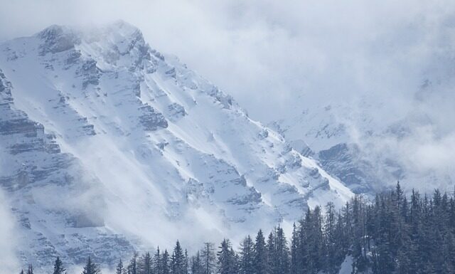 Czy przegląd roweru jest obowiązkowy?