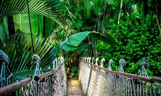 Czy można sprzedawać na Amazonie bez firmy?