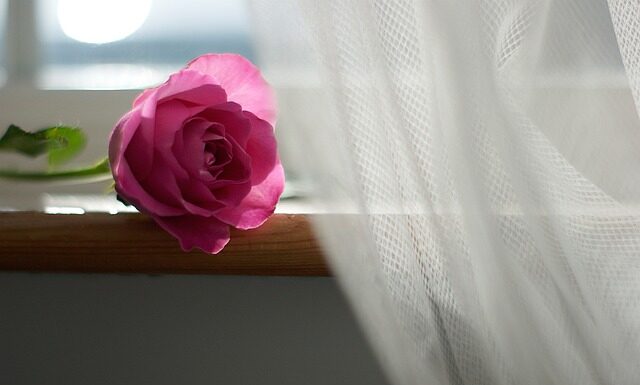 Czy można powiesić firanki i zasłony na jednym karniszu?