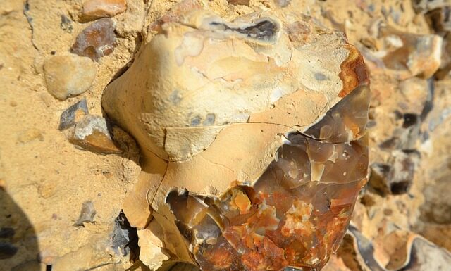 Gdzie można znaleźć krzemień w Ark?