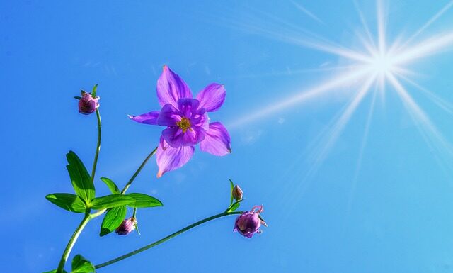 Gdzie nie można wejść z bronią?