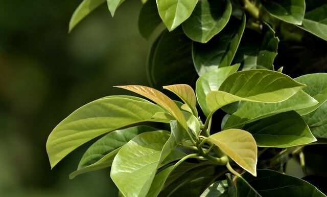 Ile trzeba mieć wzrostu żeby grac w kosza?