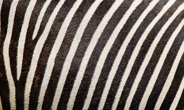 Ile kosztuje nadruk na koszulce?