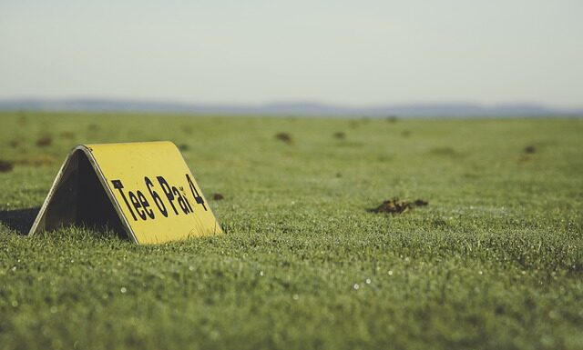 Jak rozpoznać koszulkę z bawełny?