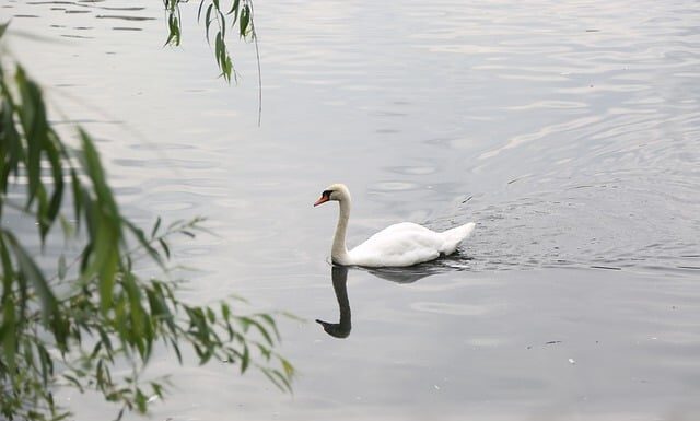 Przy jakim wietrze można pływać?