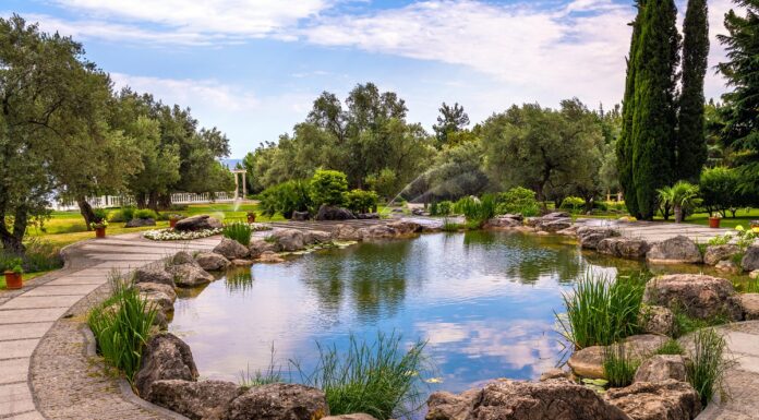 Filtry w oczku wodnym na straży czystości wody